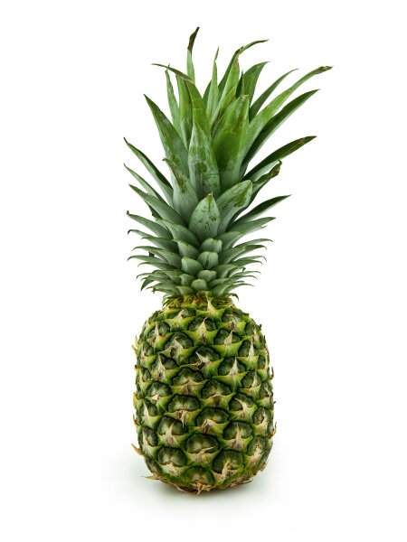 Large