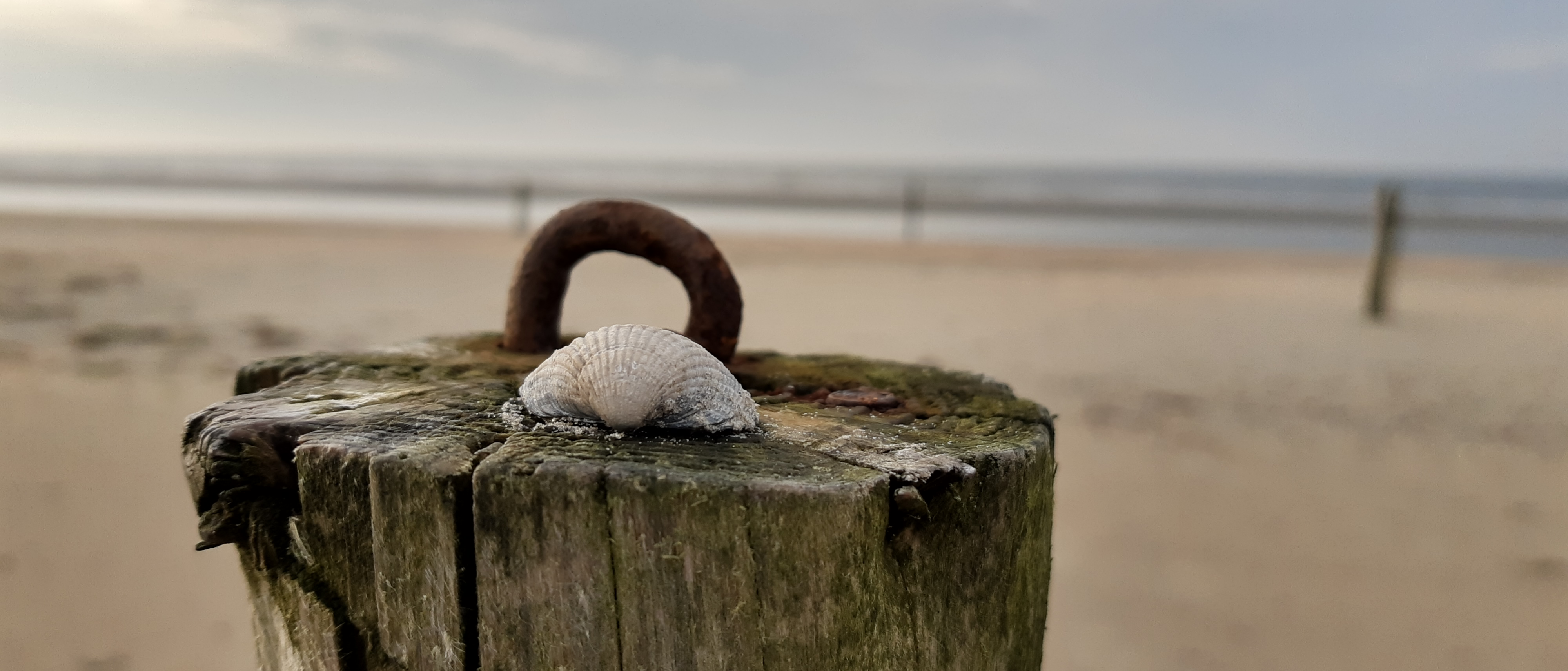 Drogerie & Non-Food